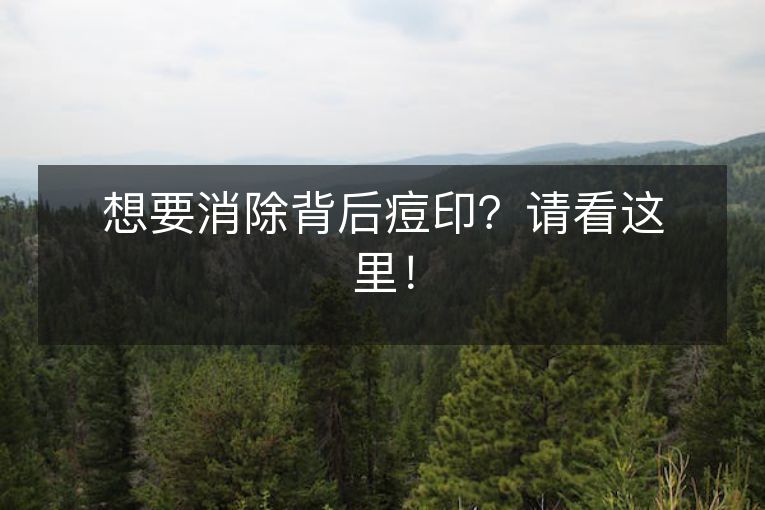 想要消除背后痘印?请看这里! 想要消除背后痘印?请看这里!