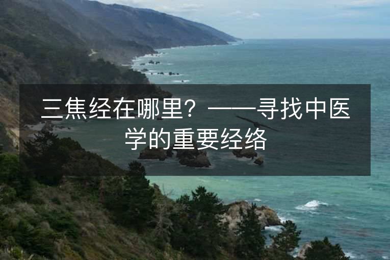 三焦经在哪里?——寻找中医学的重要经络 三焦经在哪里?——寻找中医学的重要经络